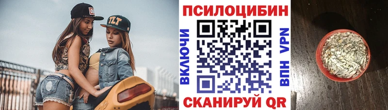 Галлюциногенные грибы прущие грибы  что такое наркотик  Мезень 